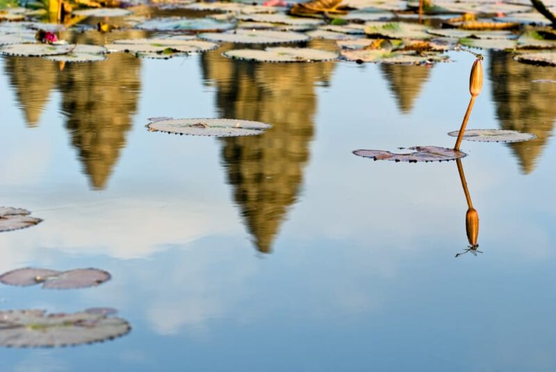 Siem Reap: Sunrise at Angkor Wat and Champagne Breakfast - Guided Tour of Angkor Wat