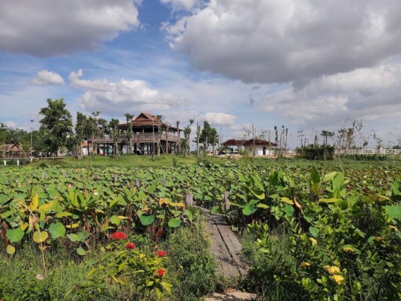 Siem Reap Sunset Dinner Tour at Rice Paddy Fields - Transportation and Accessibility