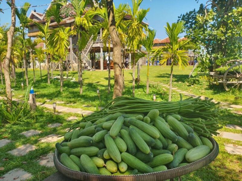 Siem Reap Sunset Dinner Tour at Rice Paddy Fields - Pickup and Scheduling