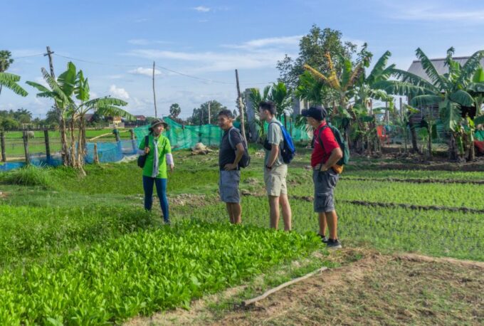 Siem Reap: Sunset Guided Vespa Tour & Local Villages - Frequently Asked Questions