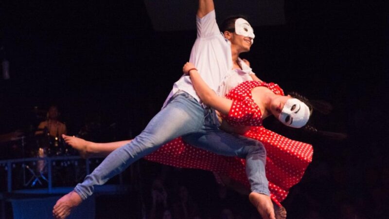 Siem Reap: the Cambodian Circus Show With Pick up & Drop off - Transportation and Itinerary