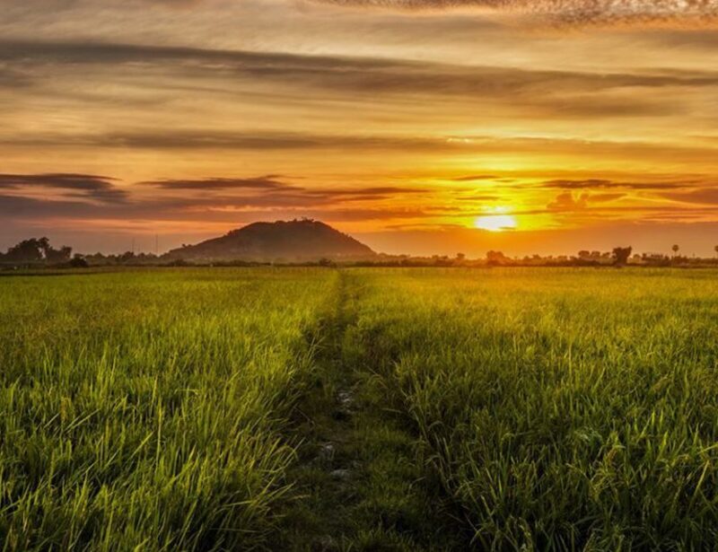 Siem Reap: Unique Street Food Authentic And Nightlife Tour - Sampling Local Delicacies