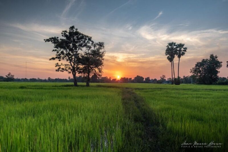 SiemReap Sunset Dinner Riding an Ox-Cart at Rice Paddy Field - Inclusions