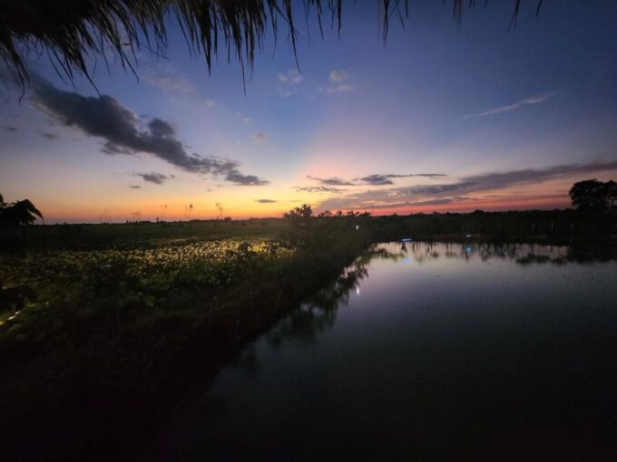 SiemReap Sunset Dinner Riding an Ox-Cart at Rice Paddy Field - Frequently Asked Questions