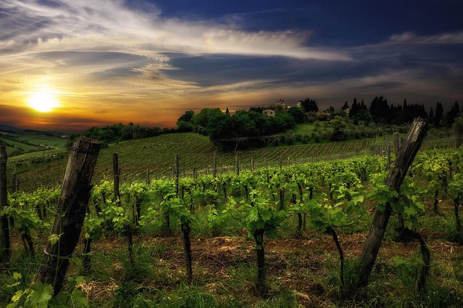 Siena: A Wine Tour and Tasting Experience - Suitability and Group Size