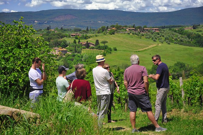 Siena: A Wine Tour and Tasting Experience - Confirmation and Booking Information