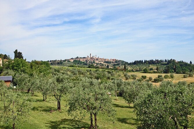 Siena and San Gimignano and Chianti Wine Small-Group Tour From Pisa - Discovering Siena