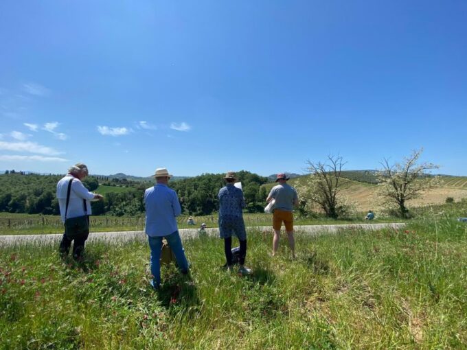 Siena and San Gimignano Tour by Shuttle From Lucca or Pisa - Customer Reviews