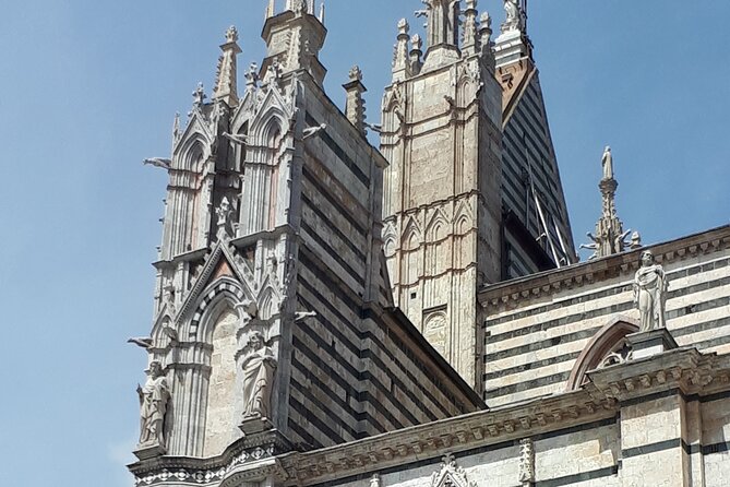 Siena Cathedral: Shrine of Treasures. - Meeting Point and Pickup Information