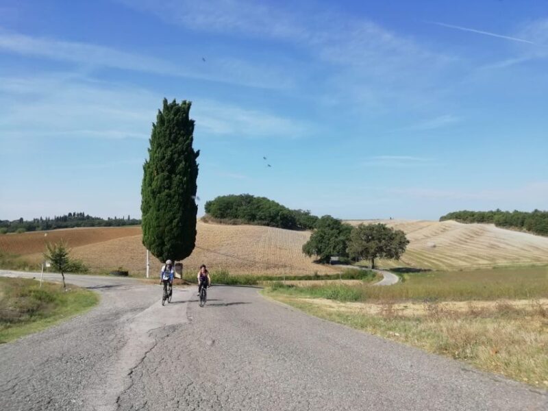Siena: Chianti Classico Guided Cycling Tour - Bike Options and Equipment