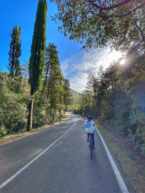 Siena: Chianti Classico Guided Cycling Tour - Explore Chianti Classico