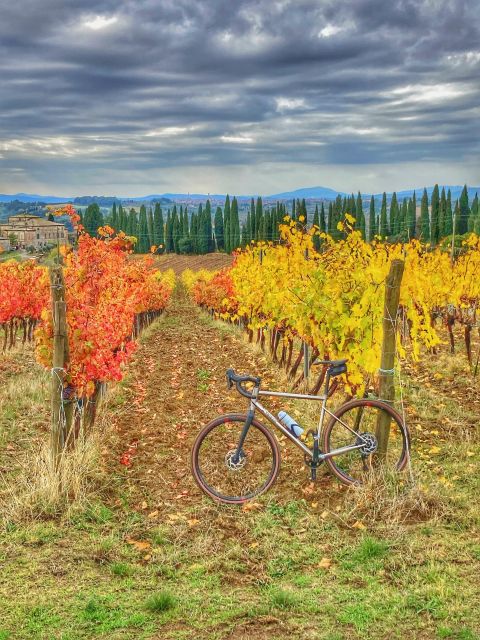 Siena: Chianti Classico Guided Cycling Tour - Frequently Asked Questions