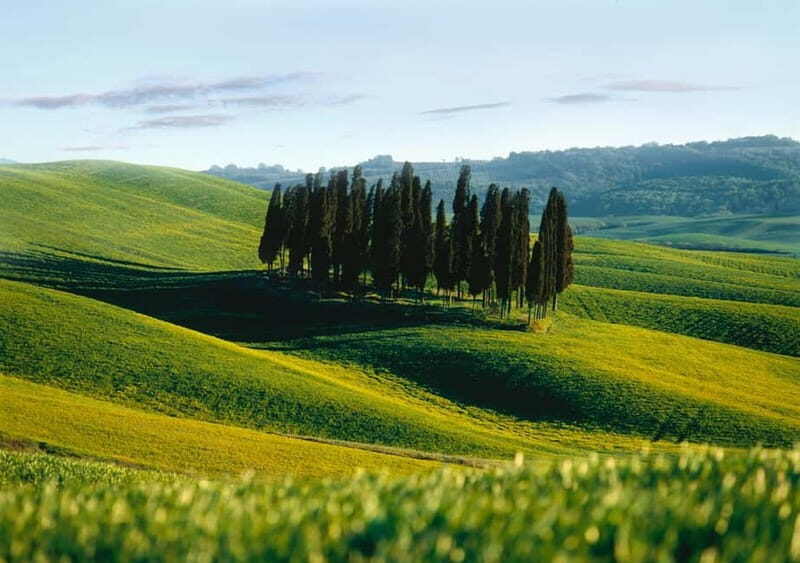Siena: City Tour in German - Tour Overview
