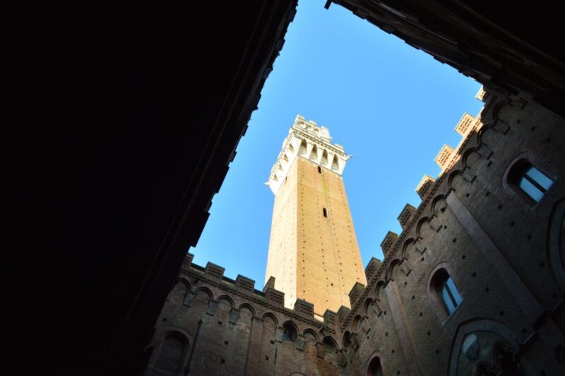 Siena: Civic Museum Private Tour - Museum Highlights