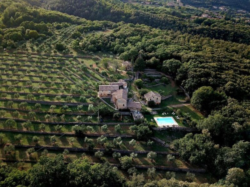 Siena Countryside: Cooking Class in a Real Tuscan Farmhouse - Hands-On Cooking and Menu