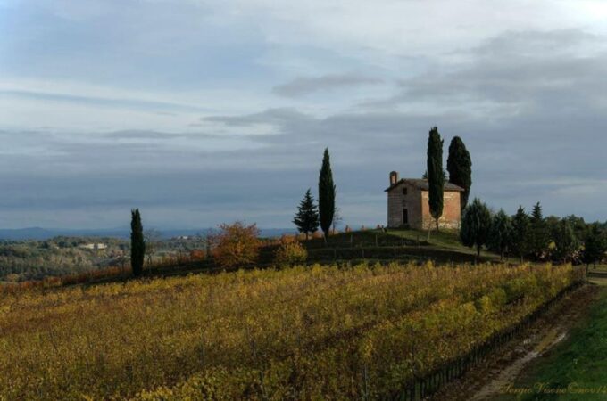 Siena: E-Bike Tour in the Chianti Senese With Lunch - Discover Chianti Region