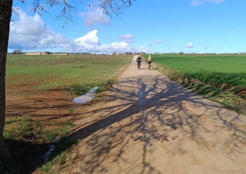 Siena: E-Bike Tour on the via Francigena With Brunch - Itinerary Highlights