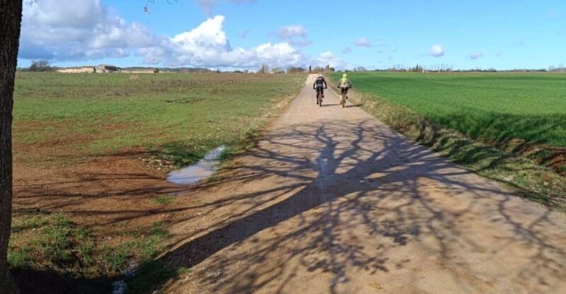 Siena: E-Bike Tour on the via Francigena With Brunch - Explore Sienas Medieval Streets