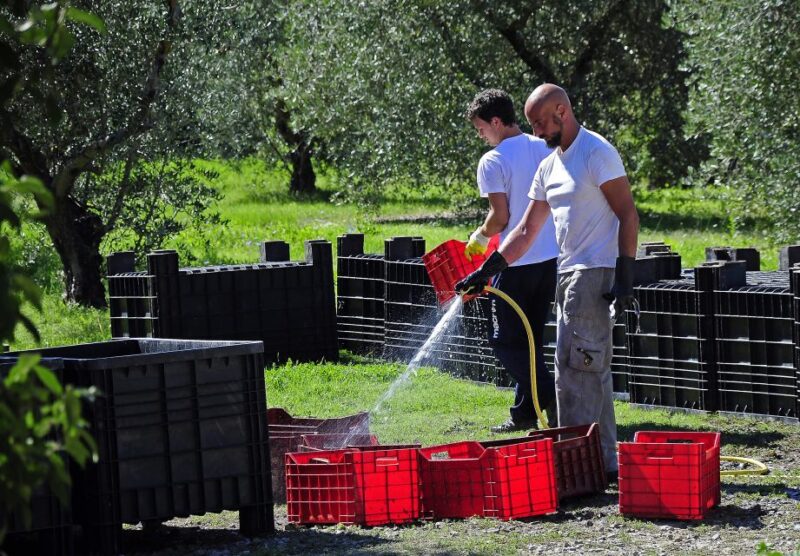 Siena: Educational Wine Tour & Tasting - Detailed Itinerary
