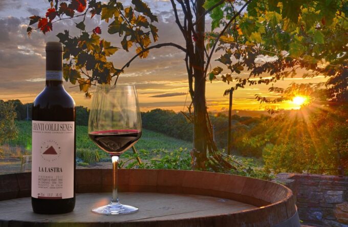 Siena: Educational Wine Tour & Tasting - Organic Vineyards