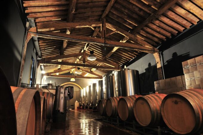 Siena: Educational Wine Tour & Tasting - Winemaking Processes