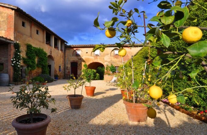Siena: Educational Wine Tour & Tasting - Frequently Asked Questions