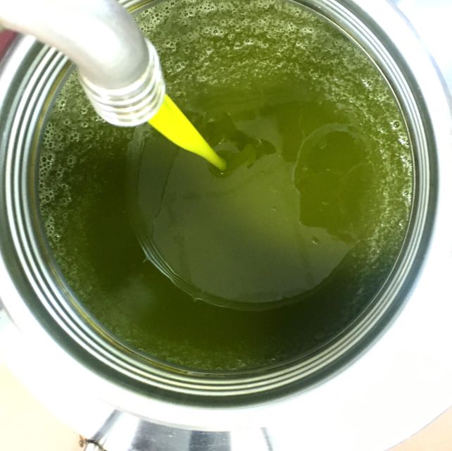 Siena: EVO Oil Experience With Walk, Tasting and Lunch - Key Points