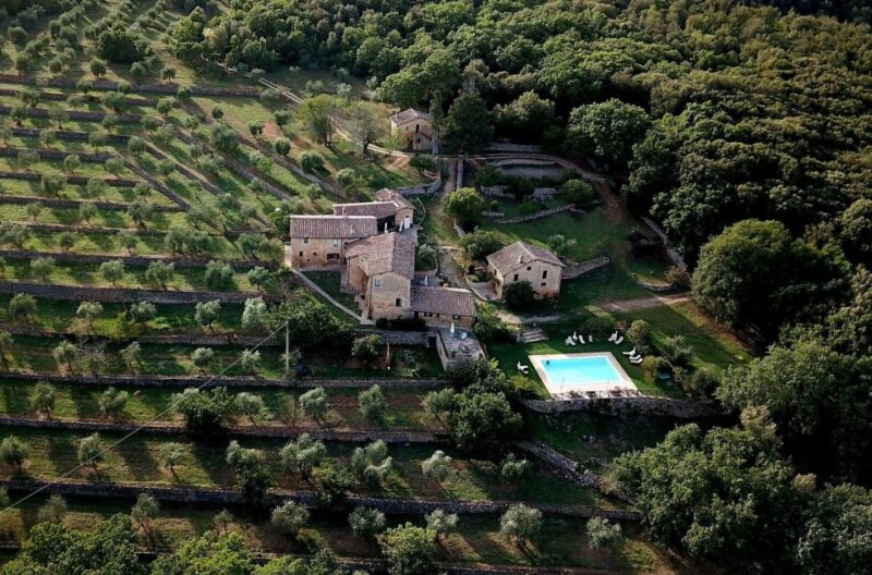 Siena: EVO Oil Experience With Walk, Tasting and Lunch - Oil Tasting Experience