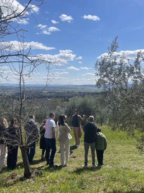 Siena: EVO Oil Experience With Walk, Tasting and Lunch - Recap