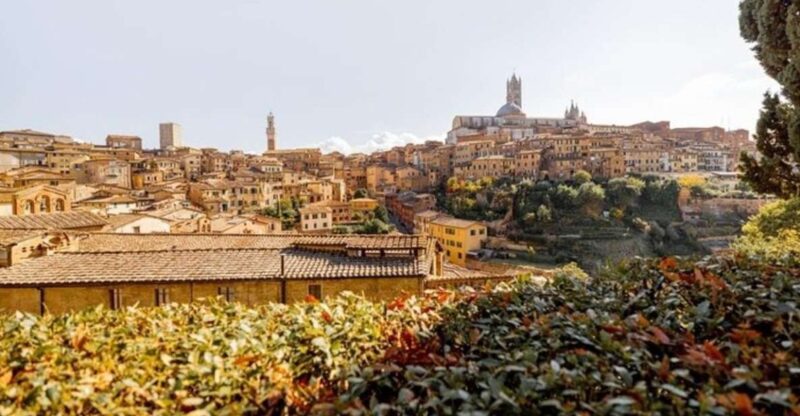 Siena : Highlights Private Walking Tour - Itinerary Highlights