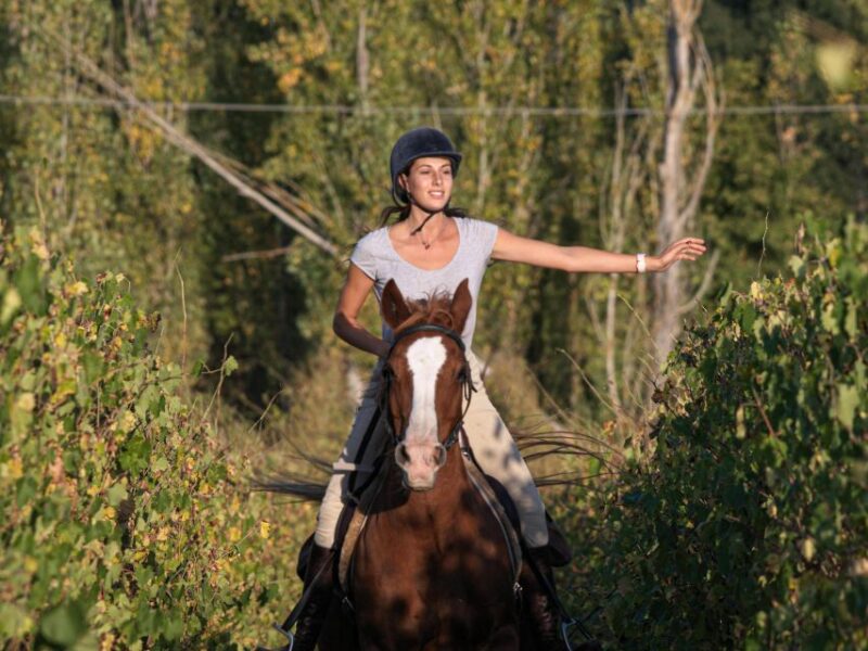 Siena: Horseback Adventure in the Tuscan Countryside - Highlights of the Experience