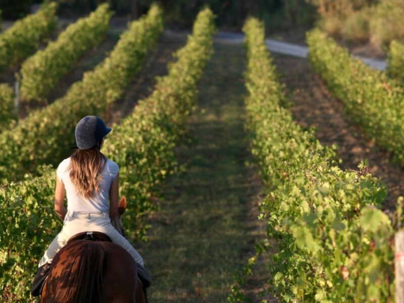 Siena: Horseback Adventure in the Tuscan Countryside - Participant Requirements