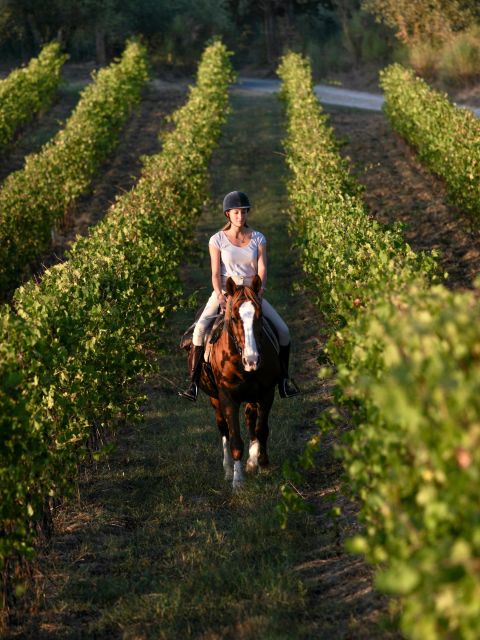 Siena: Horseback Adventure in the Tuscan Countryside - Cancelation and Refund Policy