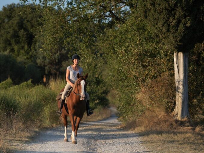 Siena: Horseback Adventure in the Tuscan Countryside - Meeting Point and Itinerary
