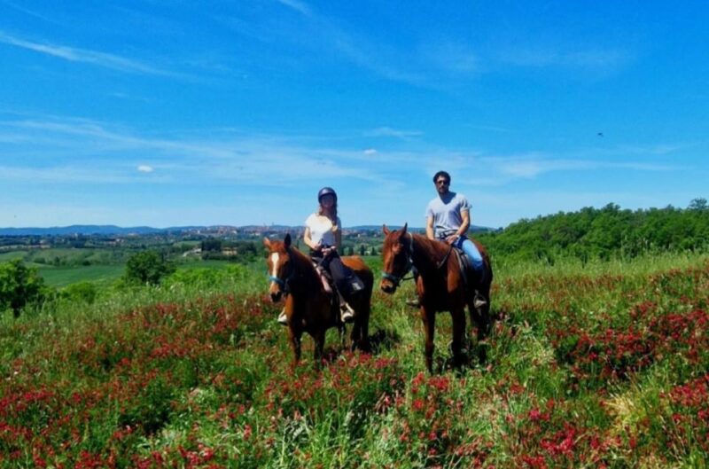 Siena: Horseback Riding Tour in the Siena Countryside - Customer Reviews