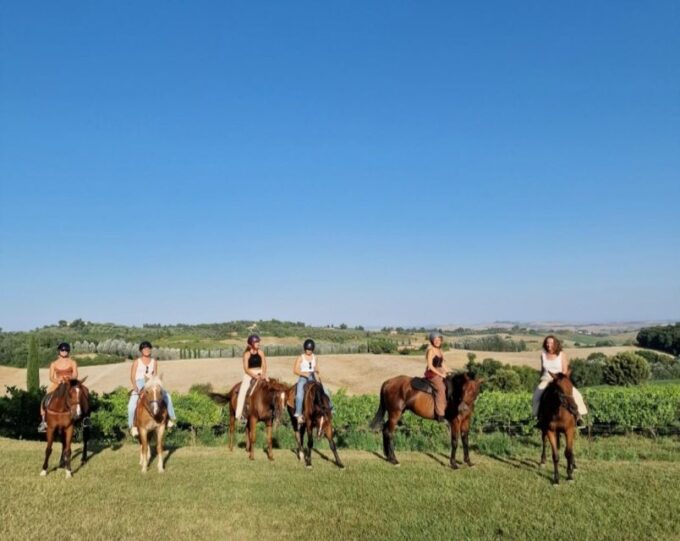 Siena: Horseback Riding Tour in the Siena Countryside - Picnic and Wine Tasting