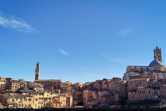Siena Like a Local (With a Licensed Tour Guide) - Frequently Asked Questions