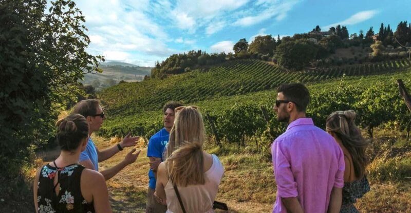 Siena: Organic Winery Tour and Wine Tasting - Key Points