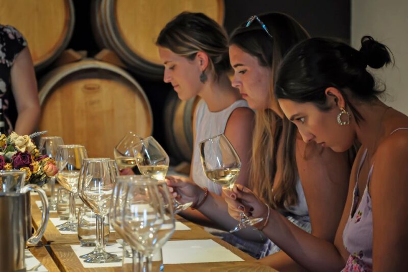 Siena: Organic Winery Tour and Wine Tasting - Discover Winemaking Techniques