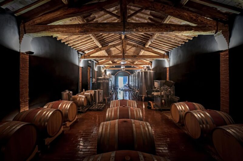 Siena: Organic Winery Tour and Wine Tasting - Appreciate Organic Grape Cultivation