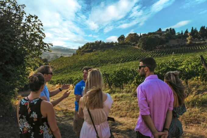Siena: Organic Winery Tour and Wine Tasting - Scenic Tuscan Hills Location