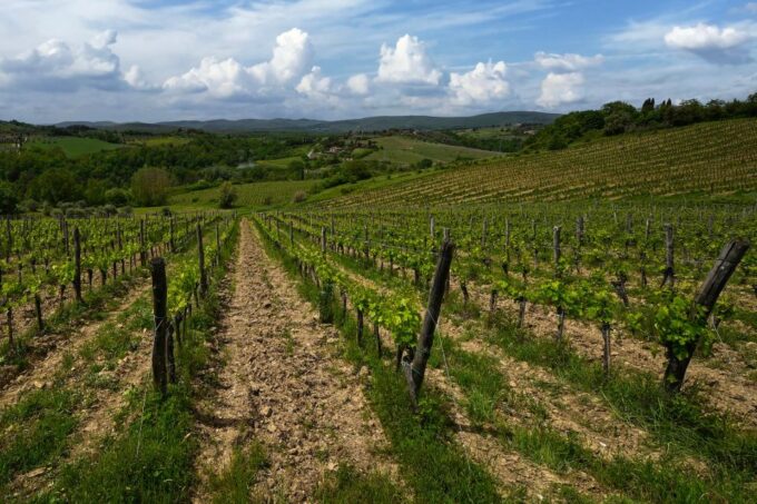 Siena: Organic Winery Tour and Wine Tasting - Frequently Asked Questions