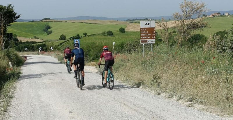 Siena: Pedaling E-Bikes to the Siena Countryside - Key Points