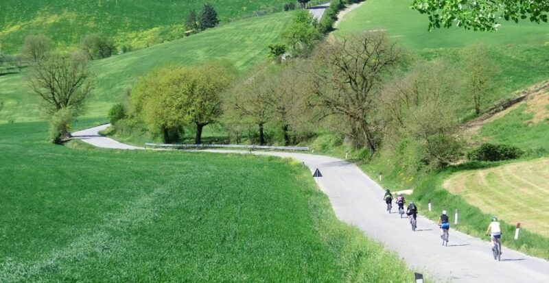 Siena: Pedaling E-Bikes to the Siena Countryside - Itinerary Highlights