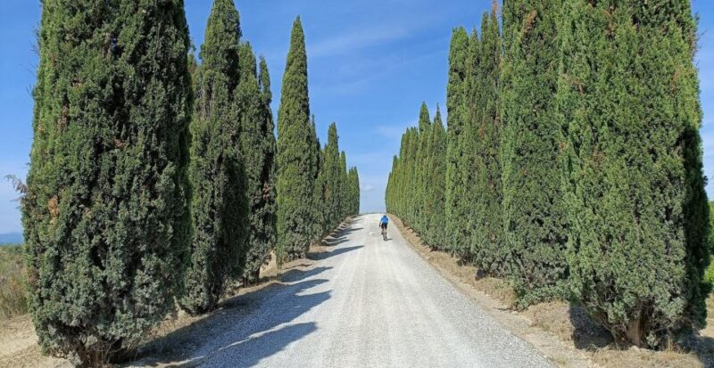 Siena: Pedaling E-Bikes to the Siena Countryside - Participant Requirements