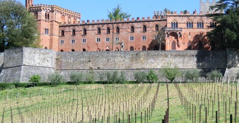 Siena: Pedaling E-Bikes to the Siena Countryside - Visiting Pievascio and Chianti Sculpture Park