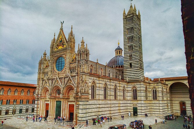 Siena Private Guided Tour for Families - Support and Reviews