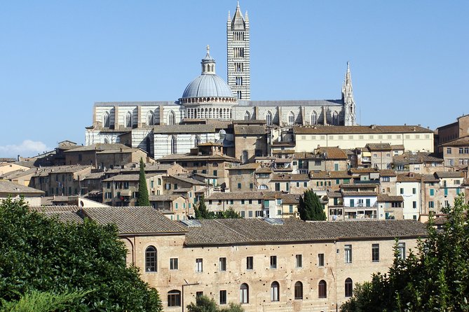 Siena Private Guided Tour for Families - Experience Duration