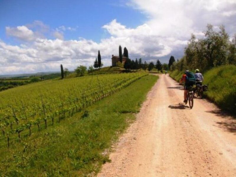 Siena - Rent Your E-Bike and Discover Siena - Highlights of the Experience