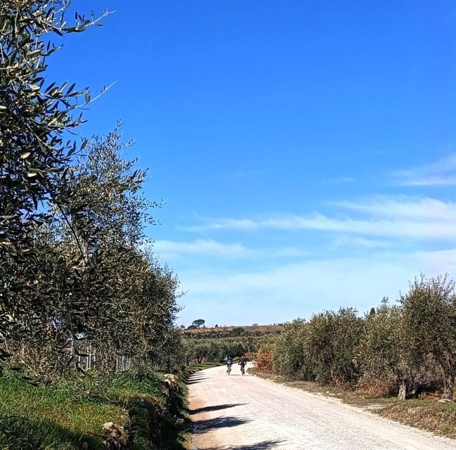 Siena - Rent Your E-Bike and Discover Siena - Bike and Equipment Specifications